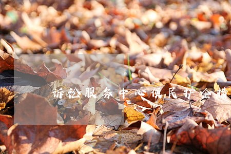 诉讼服务中心便民护企措施 诉讼服务中心便民护企措施