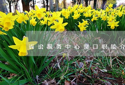 诉讼服务中心窗口职能介绍 诉讼服务中心窗口职能介绍