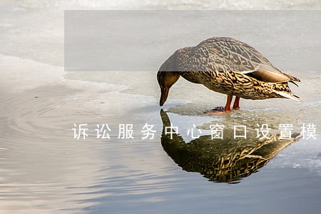诉讼服务中心窗口设置模板 诉讼服务中心窗口设置模板