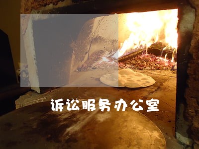诉讼服务办公室