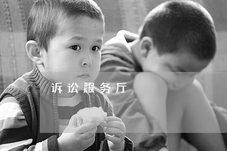 诉讼服务厅 诉讼服务厅
