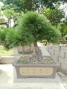 诉讼服务指导中心质效评估 诉讼服务指导中心质效评估