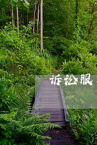 诉讼服务方面存在的问题 诉讼服务方面存在的问题