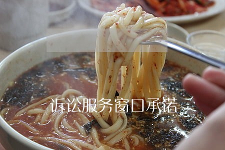 诉讼服务窗口承诺 诉讼服务窗口承诺