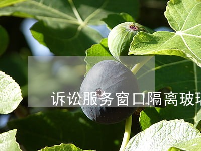 诉讼服务窗口隔离玻璃