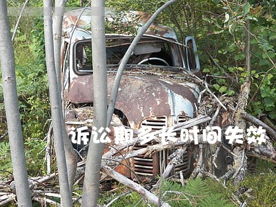 诉讼期多长时间失效 诉讼期多长时间失效
