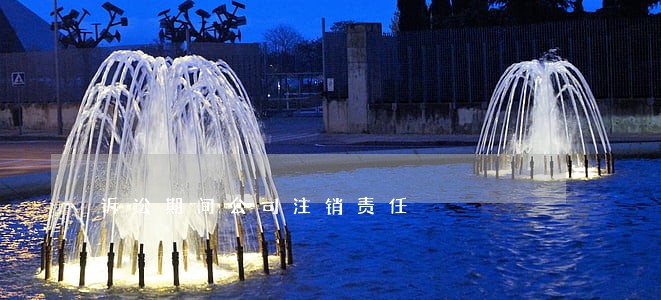 诉讼期间公司注销责任