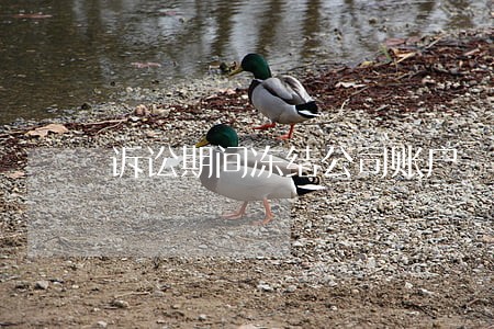 诉讼期间冻结公司账户 诉讼期间冻结公司账户