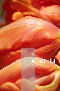 诉讼期间拆迁人可以拆迁吗 诉讼期间拆迁人可以拆迁吗