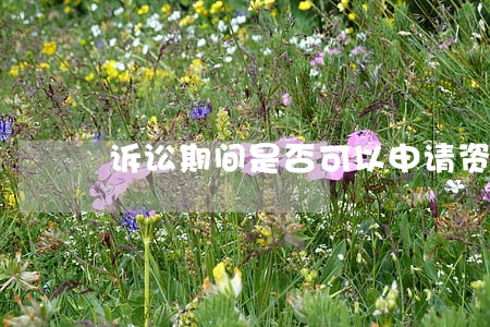 诉讼期间是否可以申请资产保全 诉讼期间是否可以申请资产保全