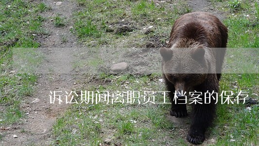 诉讼期间离职员工档案的保存