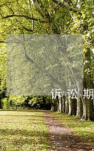 诉讼期间被告转让股权如何处理 诉讼期间被告转让股权如何处理
