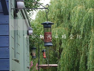 诉讼期间证据变化 诉讼期间证据变化