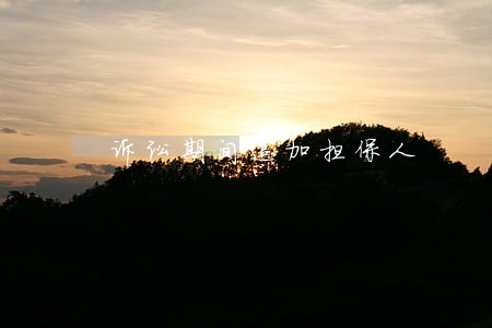 诉讼期间追加担保人 诉讼期间追加担保人