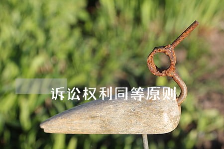 诉讼权利同等原则 诉讼权利同等原则