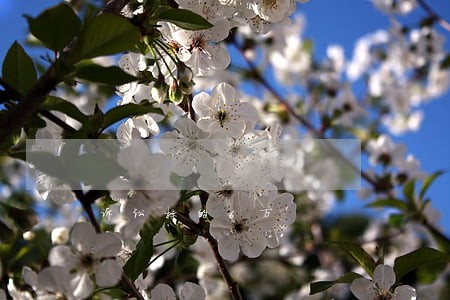 诉讼标的6万 诉讼标的6万