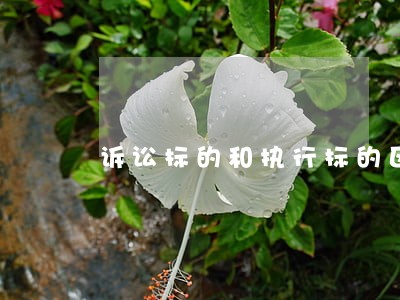 诉讼标的和执行标的区别 诉讼标的和执行标的区别
