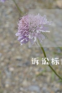 诉讼标的和诉的客体 诉讼标的和诉的客体