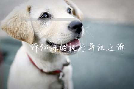 诉讼标的执行异议之诉