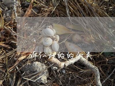诉讼标的的分类 诉讼标的的分类