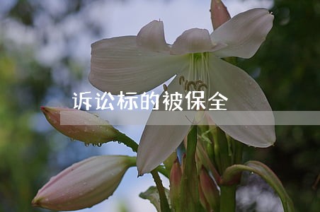 诉讼标的被保全 诉讼标的被保全