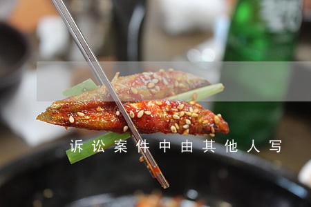 诉讼案件中由其他人写 诉讼案件中由其他人写