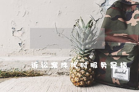 诉讼案件代时服务是指 诉讼案件代时服务是指
