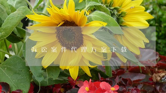 诉讼案件代理方案下载 诉讼案件代理方案下载