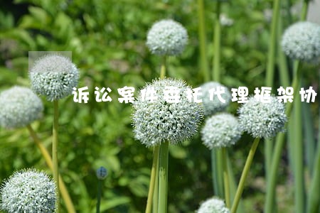 诉讼案件委托代理框架协议 诉讼案件委托代理框架协议