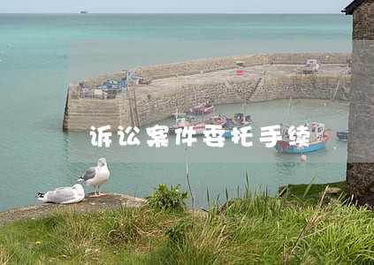 诉讼案件委托手续 诉讼案件委托手续