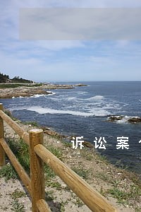 诉讼案件执行阶段的时间 诉讼案件执行阶段的时间
