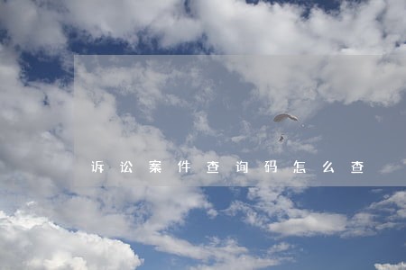 诉讼案件查询码怎么查 诉讼案件查询码怎么查
