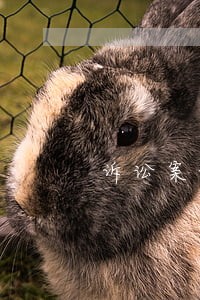 诉讼案件栾洪明 诉讼案件栾洪明