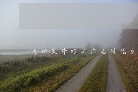 诉讼案件的工作总结范文 诉讼案件的工作总结范文