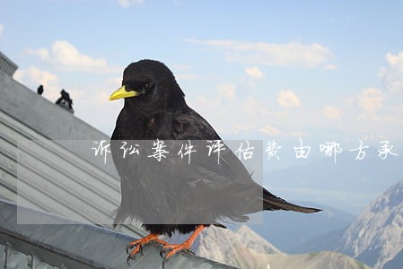 诉讼案件评估费由哪方承担 诉讼案件评估费由哪方承担