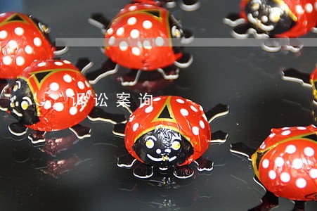 诉讼案询