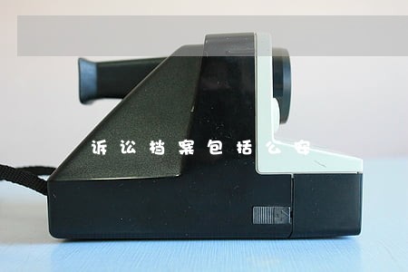 诉讼档案包括公安 诉讼档案包括公安