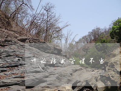 诉讼档案管理不当 诉讼档案管理不当