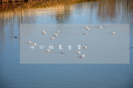 诉讼档案重要 诉讼档案重要