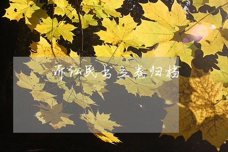 诉讼民书立卷归档 诉讼民书立卷归档