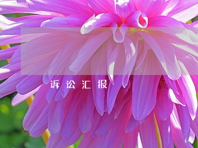 诉讼汇报 诉讼汇报