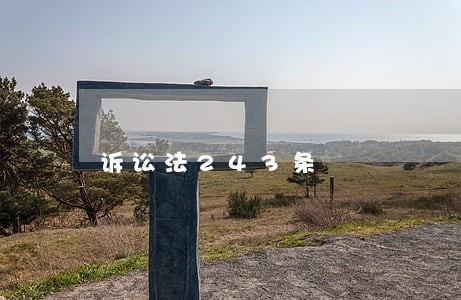 诉讼法243条 诉讼法243条