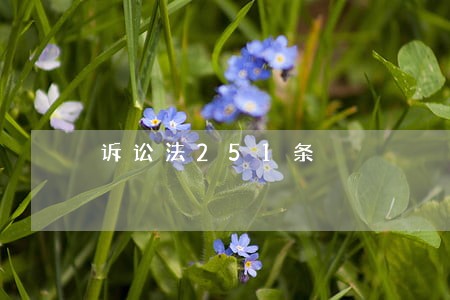 诉讼法251条 诉讼法251条