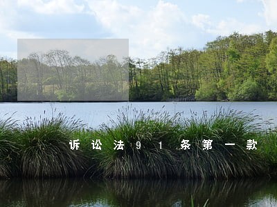 诉讼法91条第一款 诉讼法91条第一款