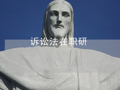 诉讼法在职研 诉讼法在职研