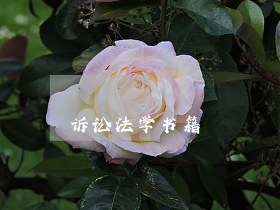 诉讼法学书籍 诉讼法学书籍