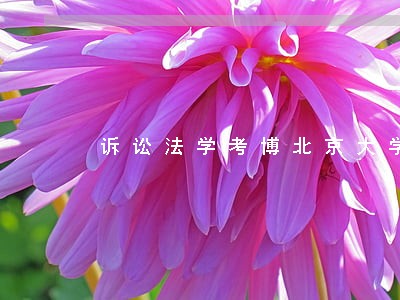 诉讼法学考博北京大学 诉讼法学考博北京大学