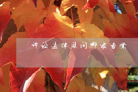 诉讼法律顾问哪家专业 诉讼法律顾问哪家专业