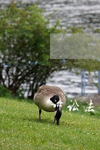 诉讼法律顾问哪里好 诉讼法律顾问哪里好