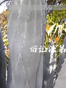 诉讼法第六十八条 诉讼法第六十八条